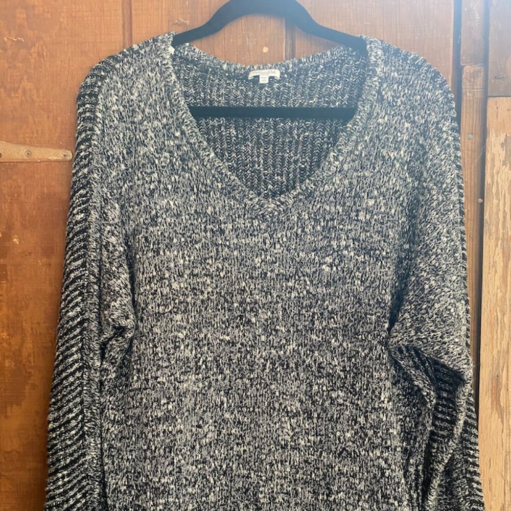 Splendid vneck sweater